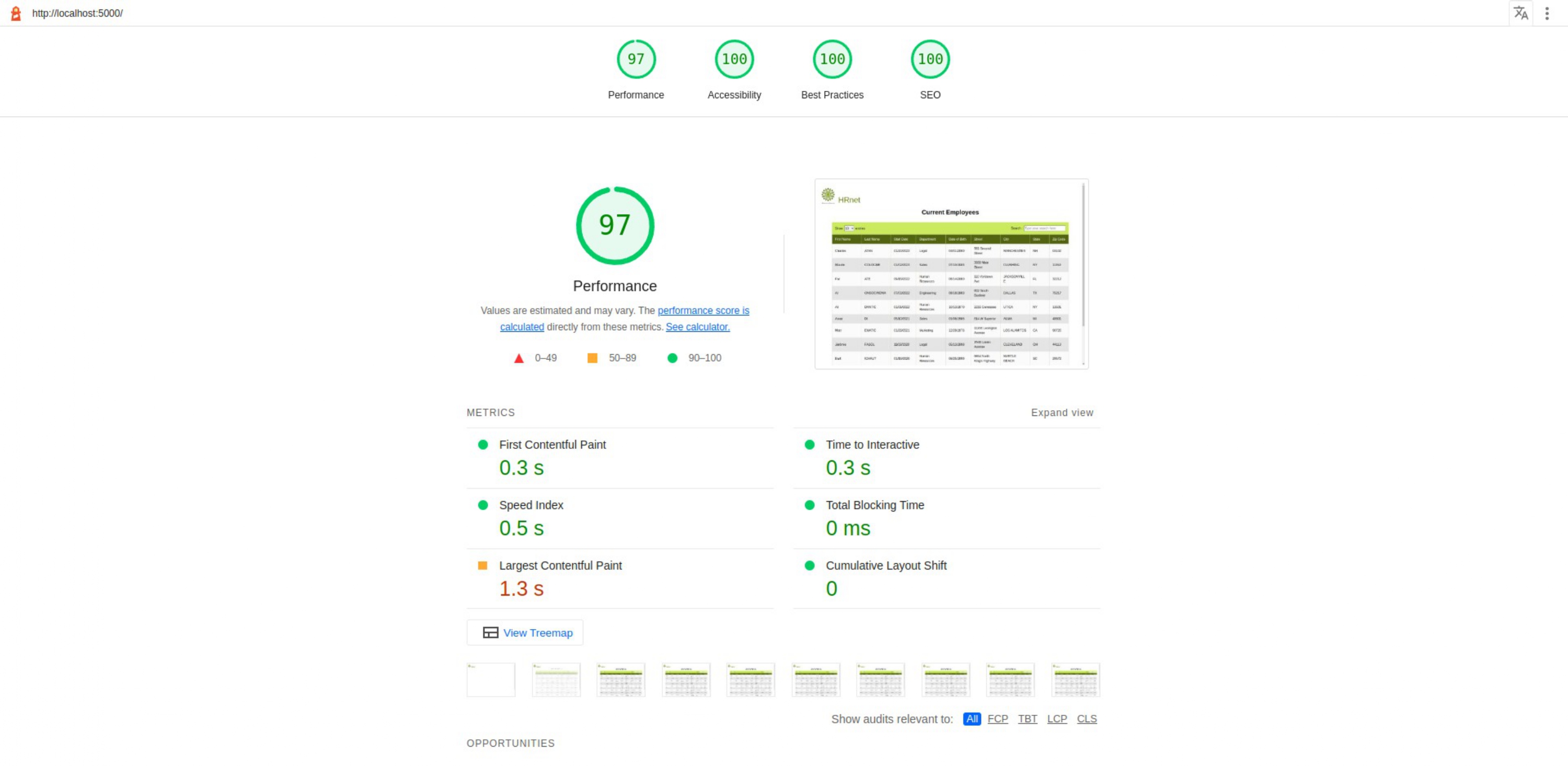 Hrnet, screenshot of the Lighthouse performance test